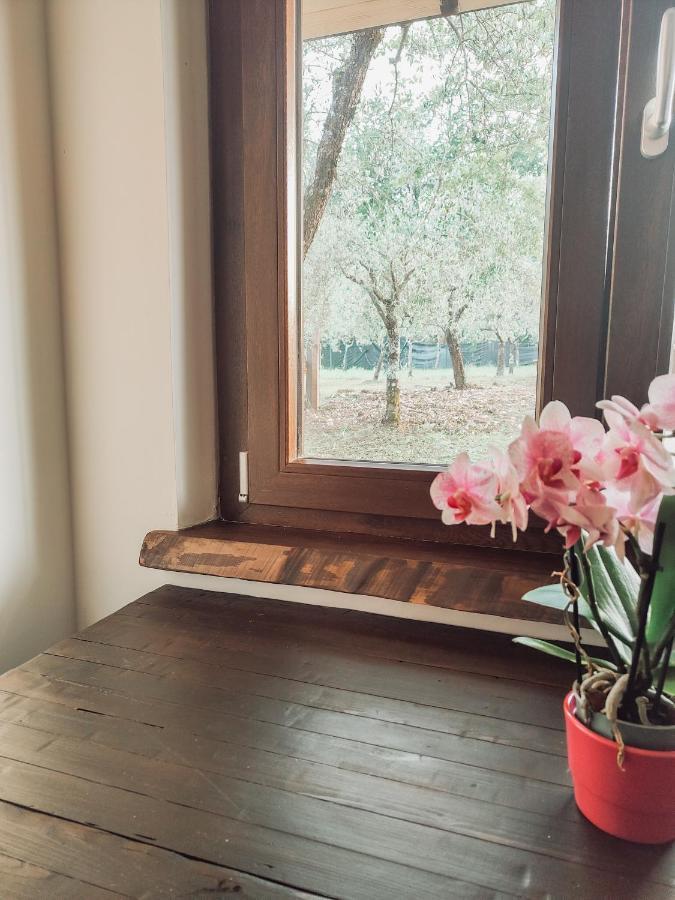 Casale Dei Ricordi Bed and Breakfast Arce Buitenkant foto