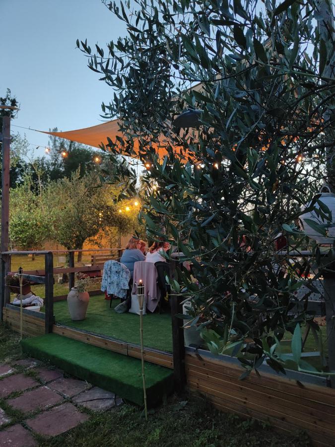 Casale Dei Ricordi Bed and Breakfast Arce Buitenkant foto