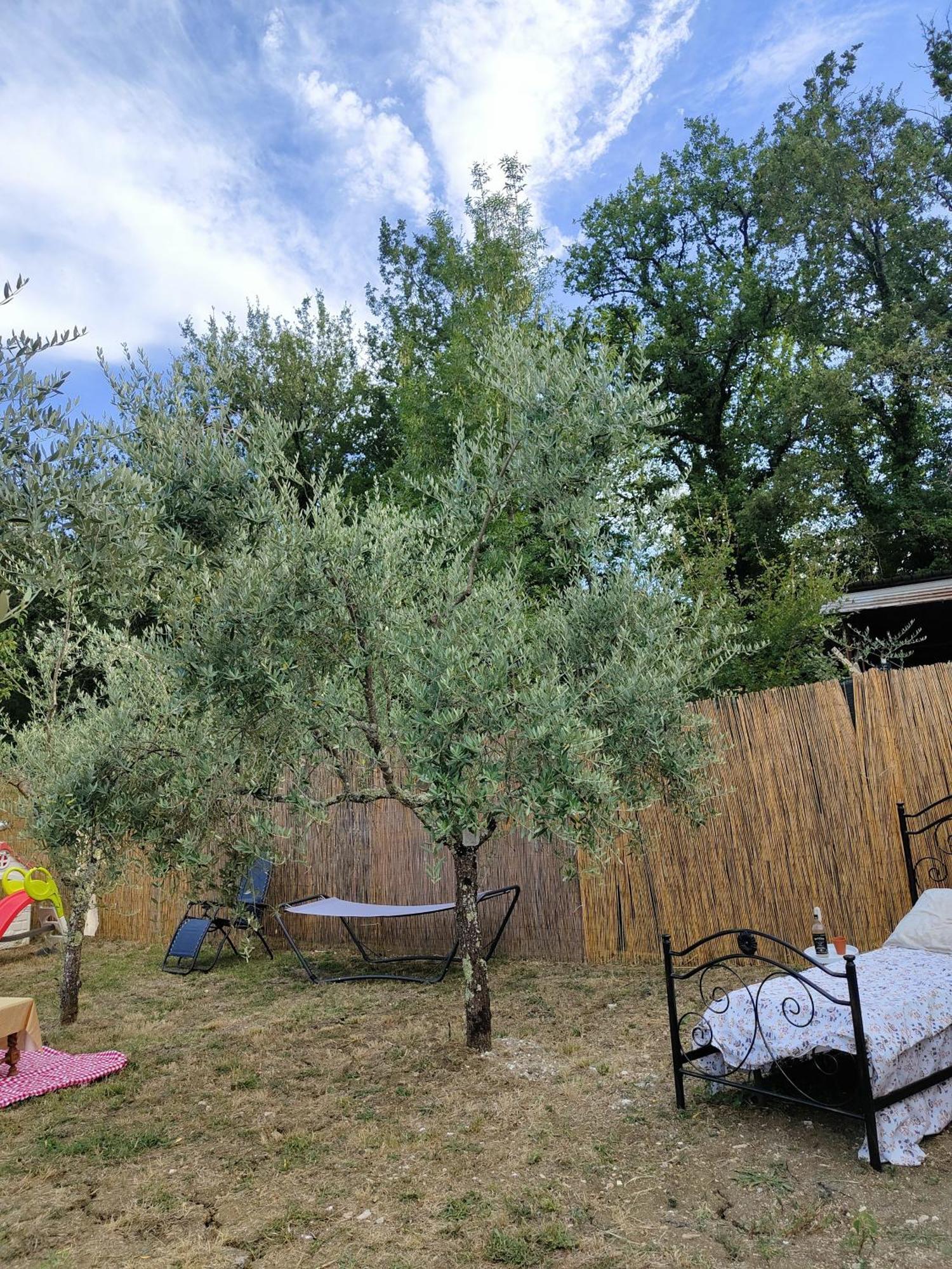 Casale Dei Ricordi Bed and Breakfast Arce Buitenkant foto